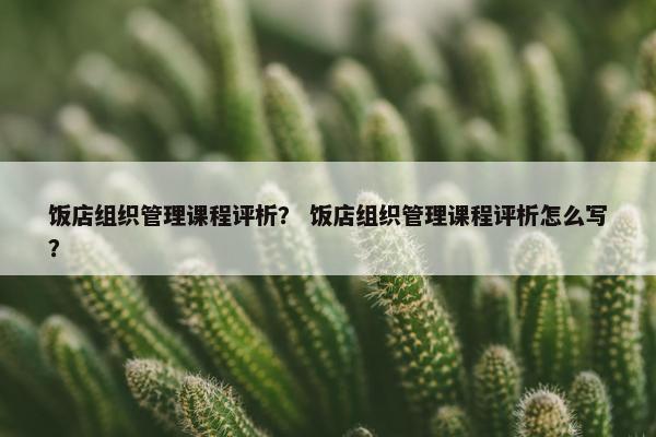 饭店组织管理课程评析？ 饭店组织管理课程评析怎么写？