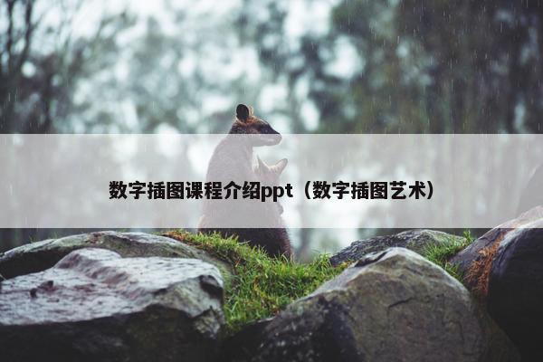 数字插图课程介绍ppt（数字插图艺术）