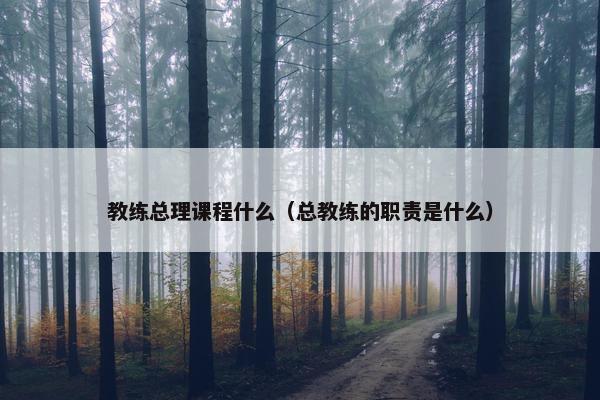 教练总理课程什么（总教练的职责是什么）