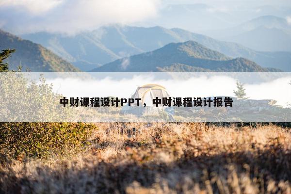 中财课程设计PPT，中财课程设计报告