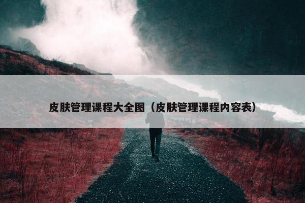 皮肤管理课程大全图（皮肤管理课程内容表）