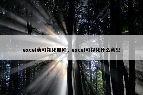 excel表可视化课程，excel可视化什么意思
