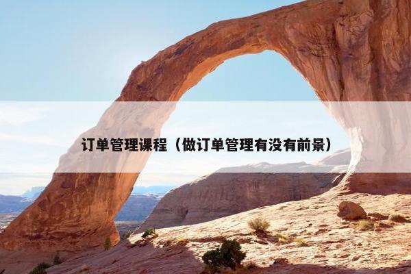 订单管理课程（做订单管理有没有前景）