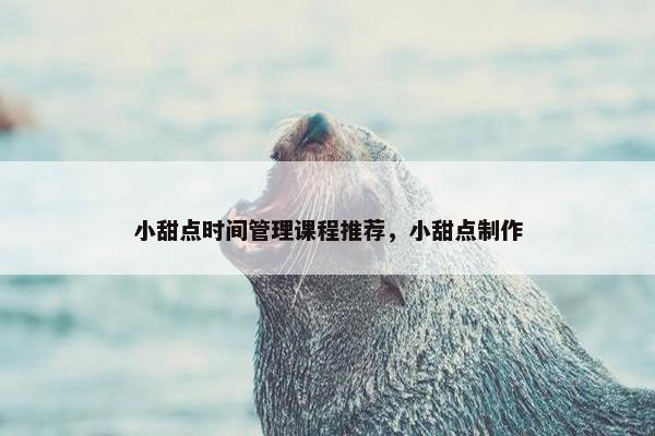小甜点时间管理课程推荐，小甜点制作