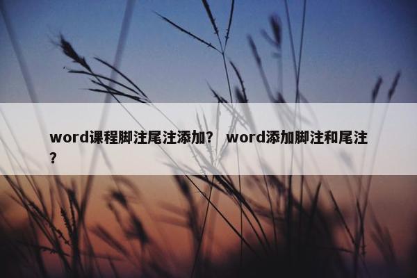 word课程脚注尾注添加？ word添加脚注和尾注？