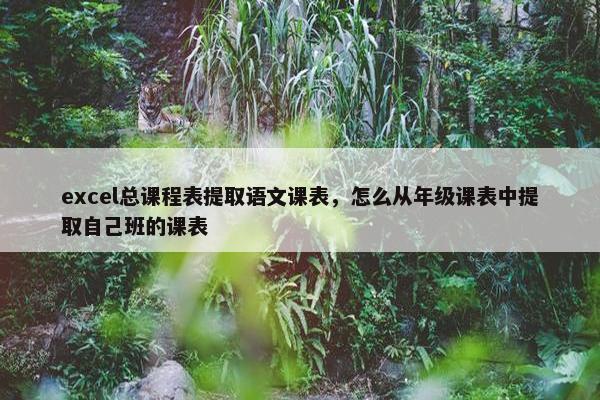 excel总课程表提取语文课表，怎么从年级课表中提取自己班的课表