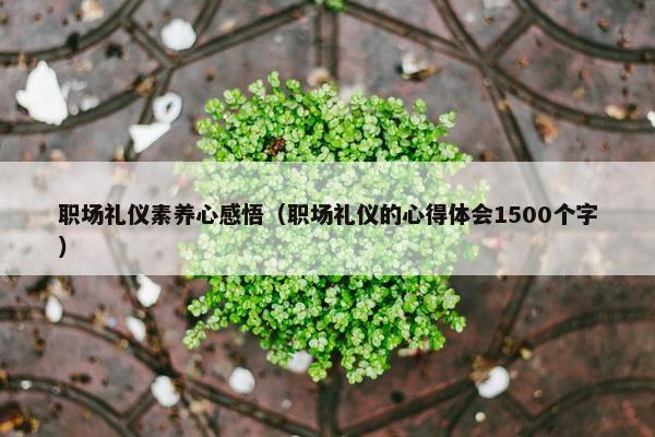 职场礼仪素养心感悟（职场礼仪的心得体会1500个字）