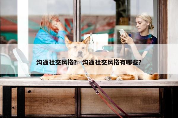 沟通社交风格？ 沟通社交风格有哪些？