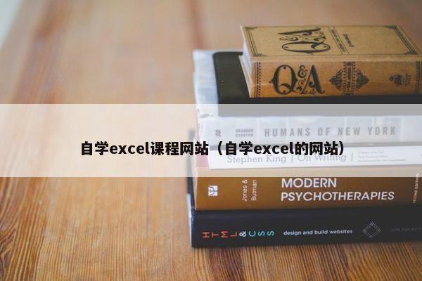 自学excel课程网站（自学excel的网站）