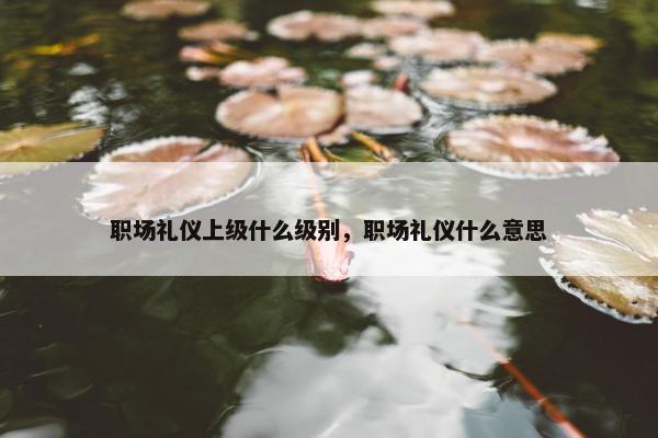 职场礼仪上级什么级别，职场礼仪什么意思
