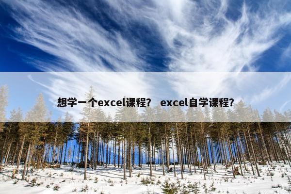 想学一个excel课程？ excel自学课程？