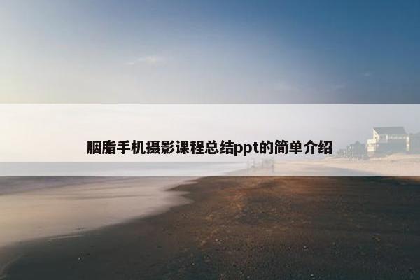 胭脂手机摄影课程总结ppt的简单介绍