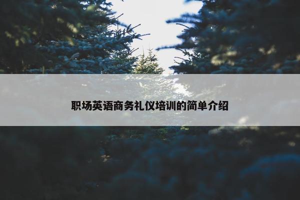 职场英语商务礼仪培训的简单介绍