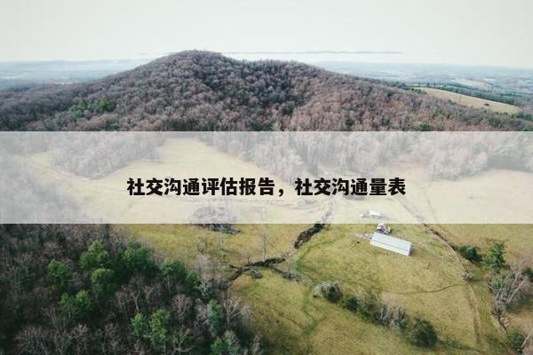 社交沟通评估报告，社交沟通量表