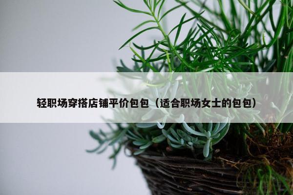 轻职场穿搭店铺平价包包（适合职场女士的包包）
