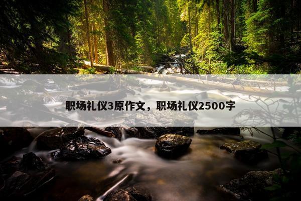 职场礼仪3原作文，职场礼仪2500字