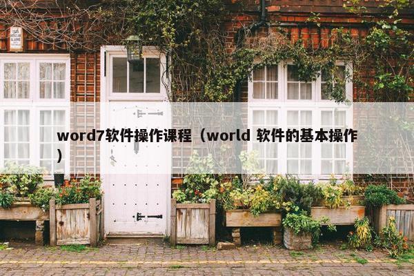 word7软件操作课程（world 软件的基本操作）