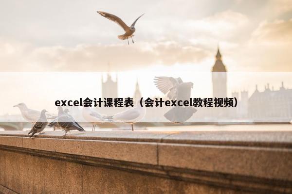 excel会计课程表（会计excel教程视频）