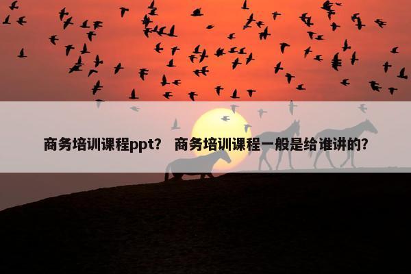 商务培训课程ppt？ 商务培训课程一般是给谁讲的？