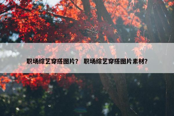 职场综艺穿搭图片？ 职场综艺穿搭图片素材？