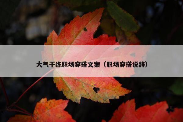 大气干练职场穿搭文案（职场穿搭说辞）
