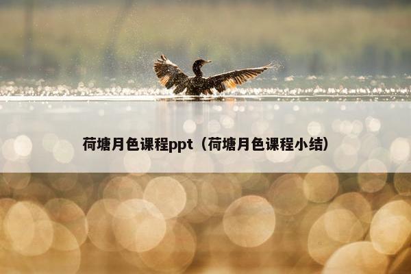 荷塘月色课程ppt（荷塘月色课程小结）