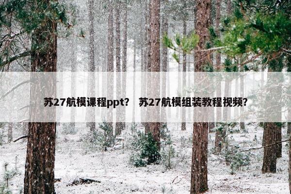 苏27航模课程ppt？ 苏27航模组装教程视频？