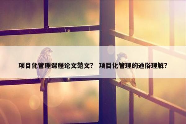 项目化管理课程论文范文？ 项目化管理的通俗理解？