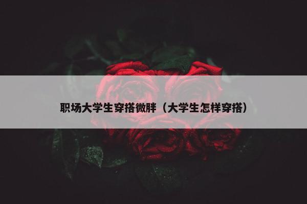 职场大学生穿搭微胖（大学生怎样穿搭）
