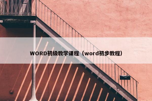WORD初级教学课程（word初步教程）