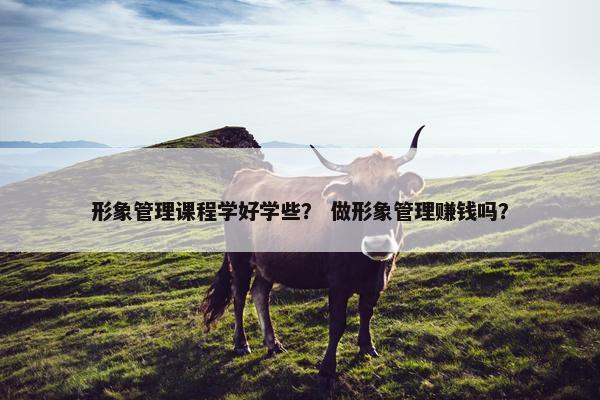 形象管理课程学好学些？ 做形象管理赚钱吗？