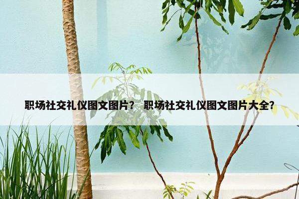 职场社交礼仪图文图片？ 职场社交礼仪图文图片大全？