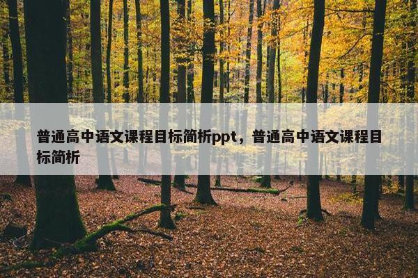普通高中语文课程目标简析ppt，普通高中语文课程目标简析