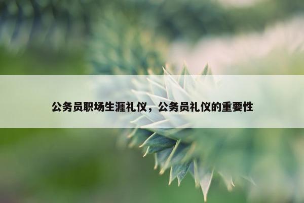 公务员职场生涯礼仪，公务员礼仪的重要性