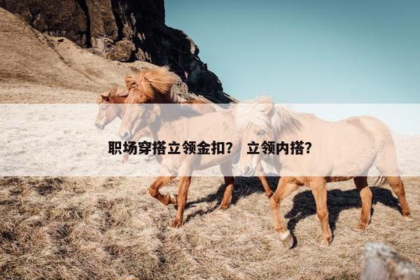 职场穿搭立领金扣？ 立领内搭？