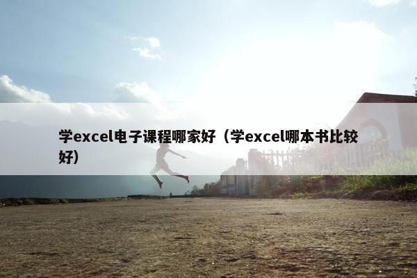 学excel电子课程哪家好（学excel哪本书比较好）