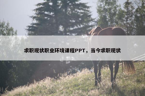 求职现状职业环境课程PPT，当今求职现状