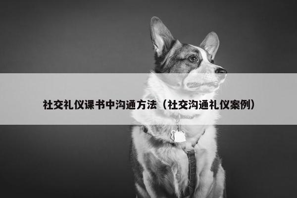 社交礼仪课书中沟通方法（社交沟通礼仪案例）