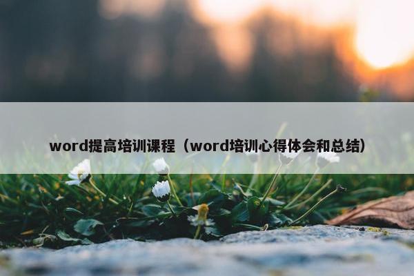 word提高培训课程（word培训心得体会和总结）