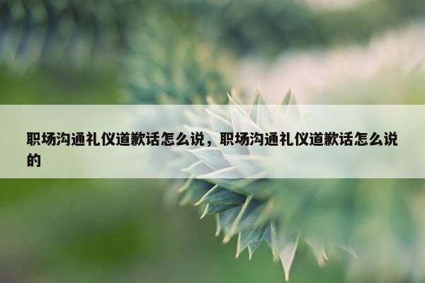 职场沟通礼仪道歉话怎么说，职场沟通礼仪道歉话怎么说的