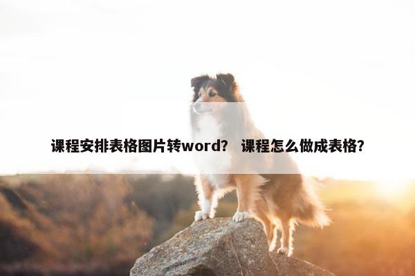 课程安排表格图片转word？ 课程怎么做成表格？