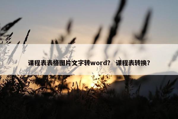 课程表表格图片文字转word？ 课程表转换？