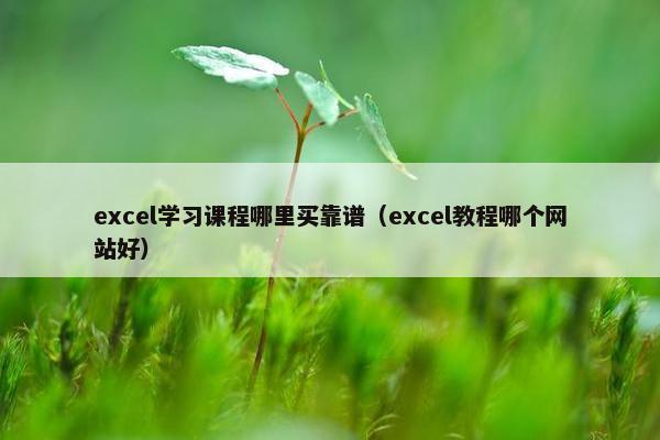 excel学习课程哪里买靠谱（excel教程哪个网站好）