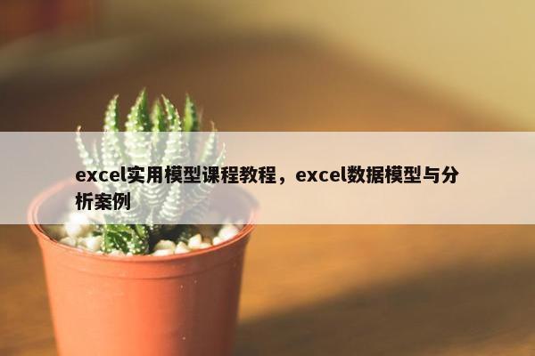 excel实用模型课程教程，excel数据模型与分析案例