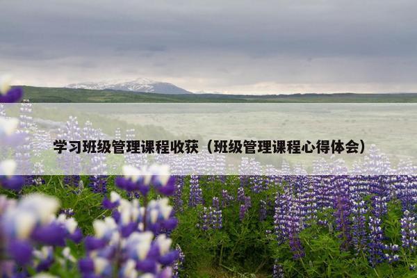 学习班级管理课程收获（班级管理课程心得体会）