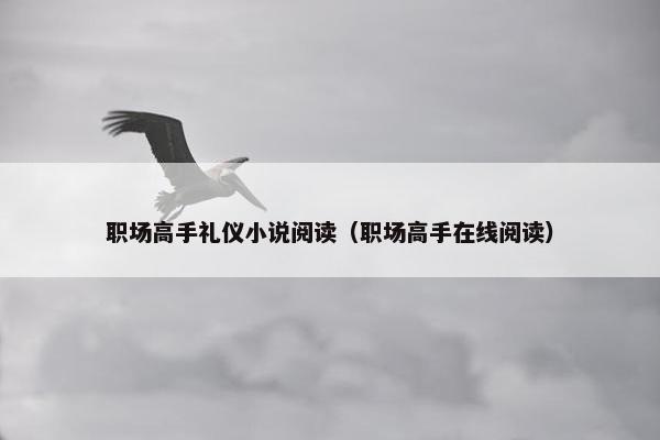 职场高手礼仪小说阅读（职场高手在线阅读）