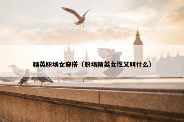 精英职场女穿搭（职场精英女性又叫什么）
