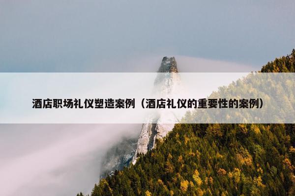 酒店职场礼仪塑造案例（酒店礼仪的重要性的案例）