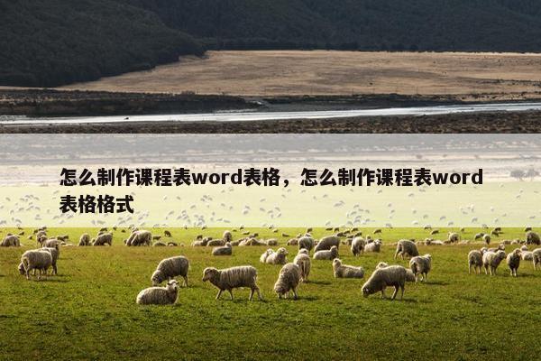 怎么制作课程表word表格，怎么制作课程表word表格格式
