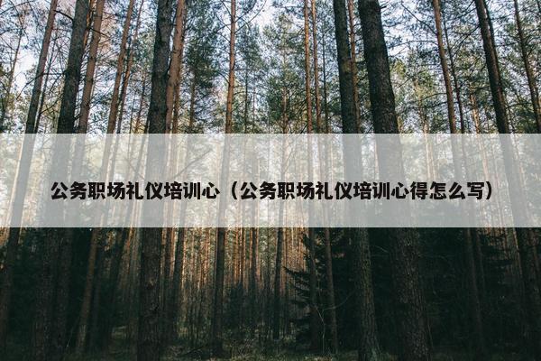 公务职场礼仪培训心（公务职场礼仪培训心得怎么写）